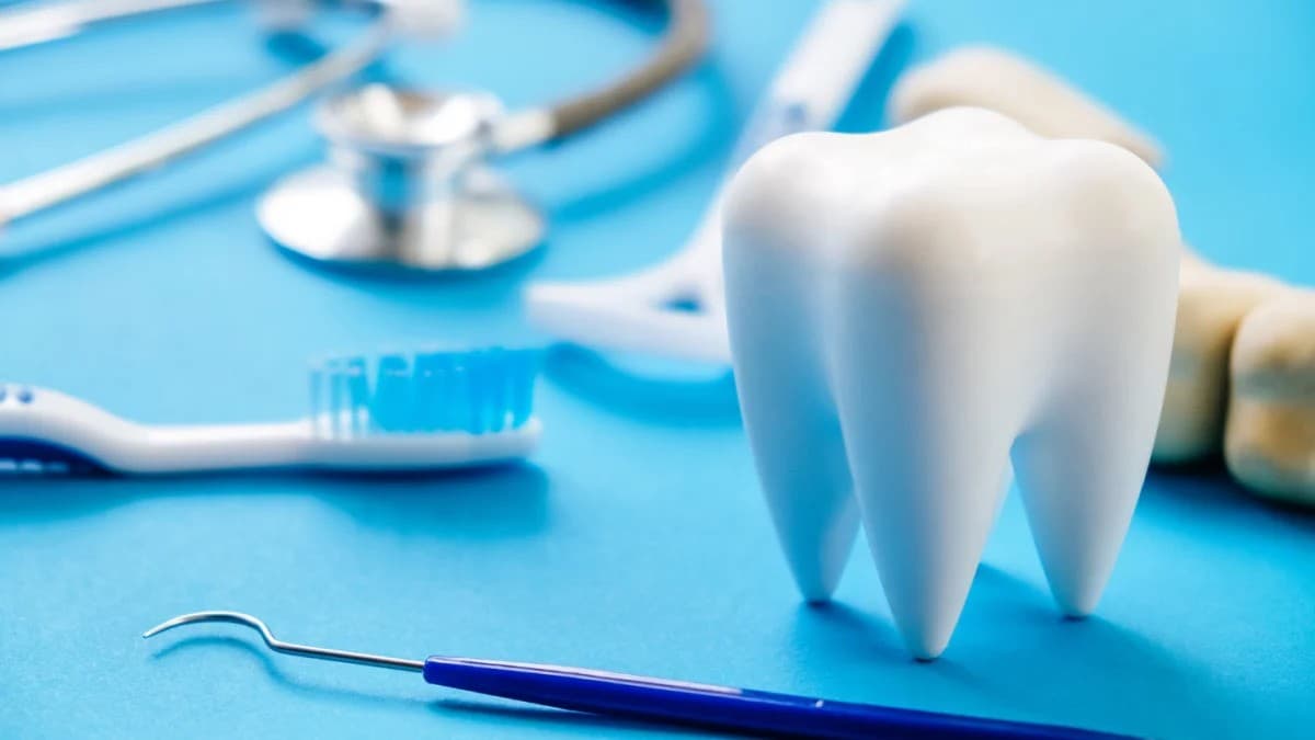 How Your Oral Health Shapes Your Entire Body: The Mouth-Body Connection You Didn’t Know About