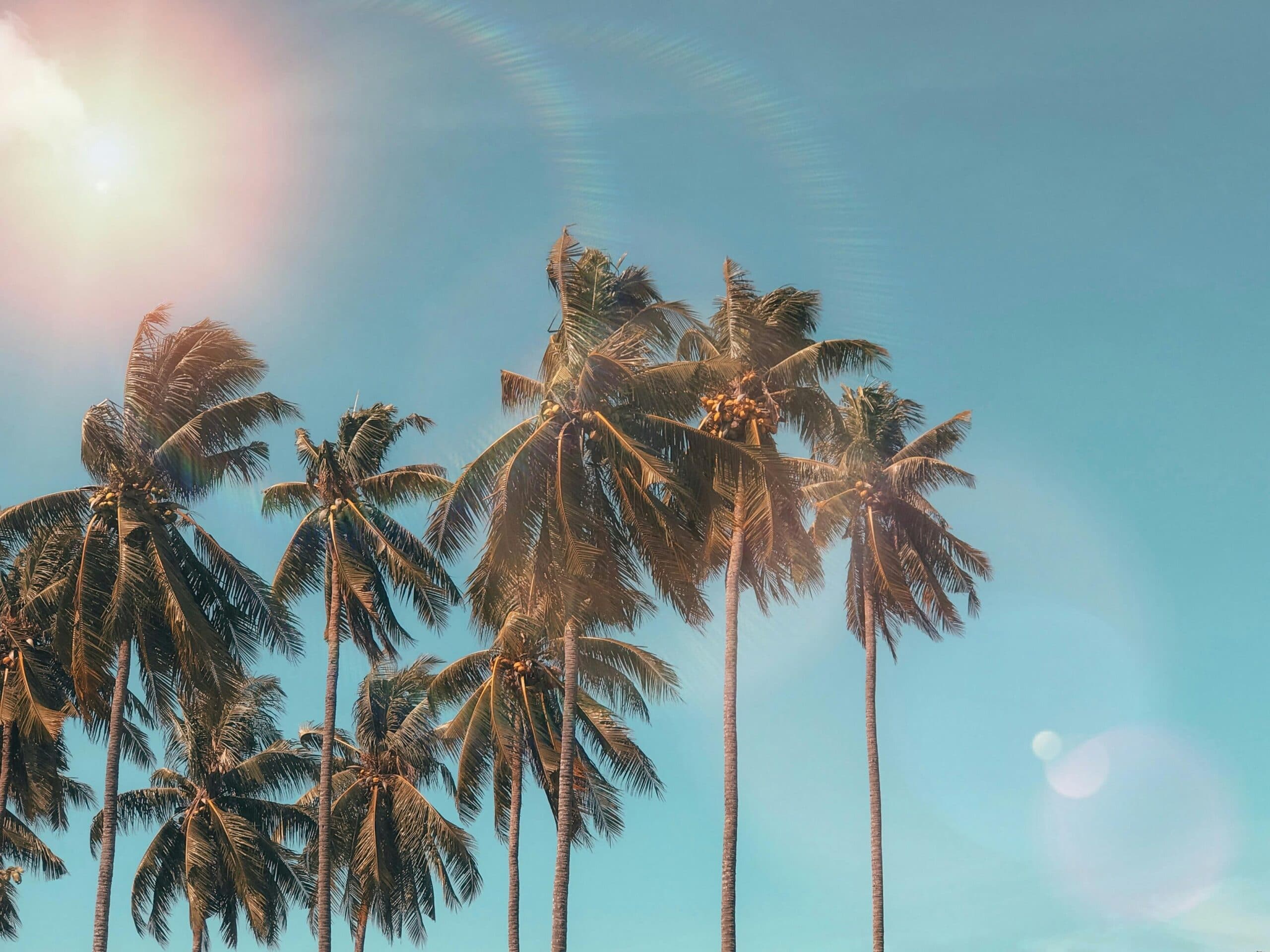 Keep Your Smile Bright This Summer: Essential Dental Care Tips