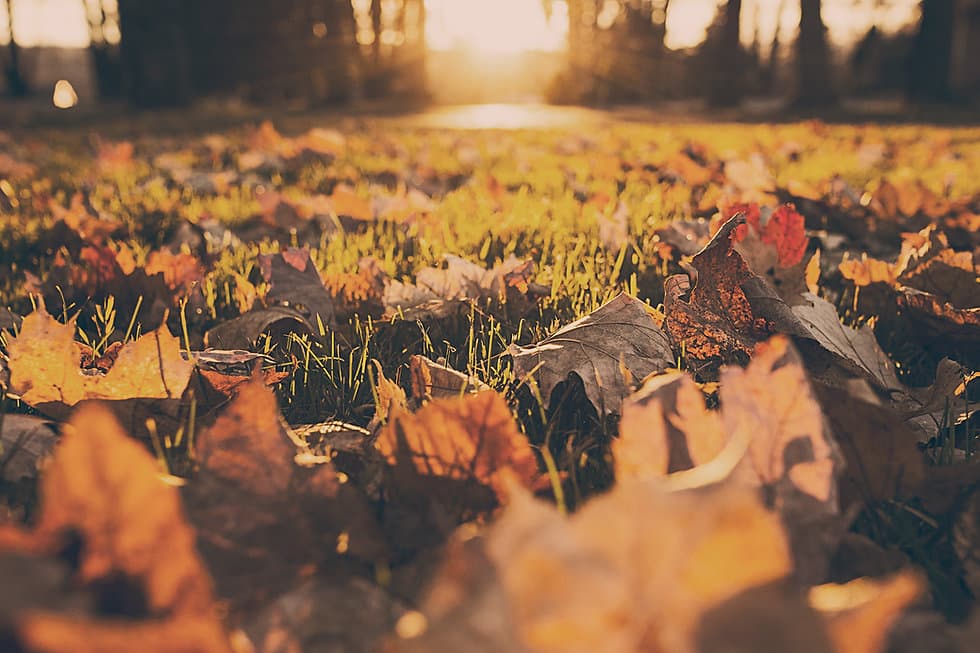 September Smiles: Why This Month Is the Perfect Time to Prioritize Your Dental Health
