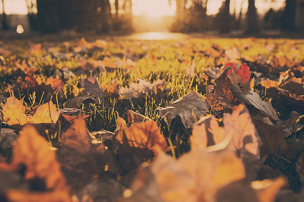 September Smiles: Why This Month Is the Perfect Time to Prioritize Your Dental Health